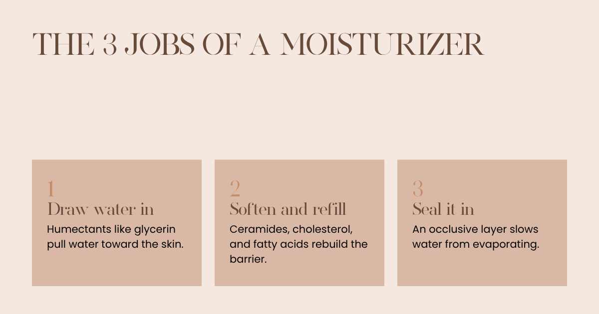 A card showing the three jobs of a moisturizer: draw water in with humectants like glycerin, soften and refill with ceramides and fatty acids, seal with occlusives.
